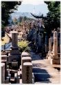 Graveyard 4, Kyoto Japan